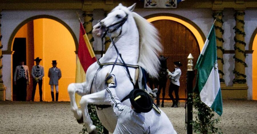 Seville: Jerez, Cadiz Wine Tasting with Optional Horse Show - Why this makes sense as one long day