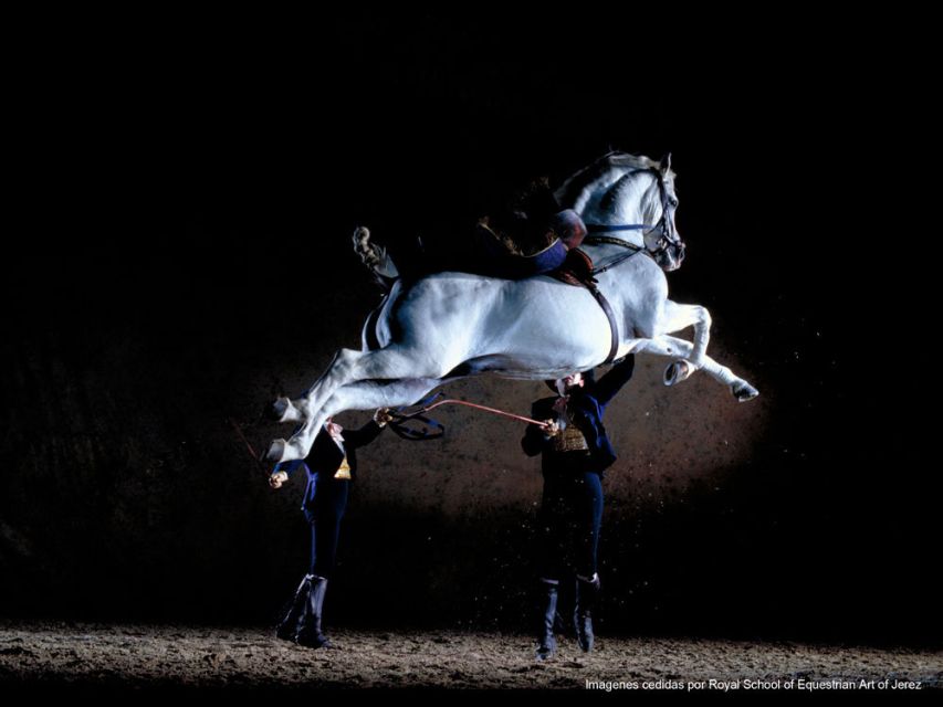 Seville: Jerez, Cadiz Wine Tasting with Optional Horse Show - Three hours in Cádiz, or less in practice