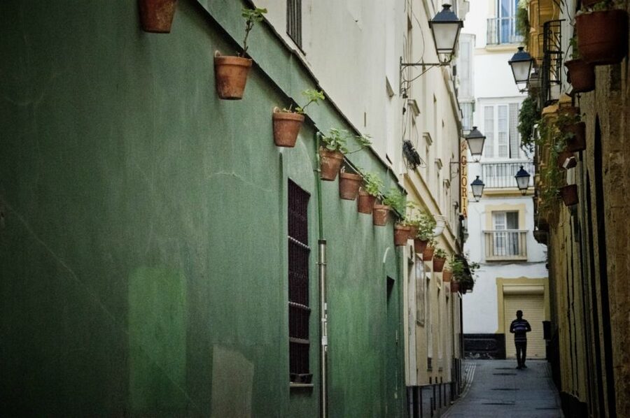 Seville: Jerez, Cadiz Wine Tasting with Optional Horse Show - What to bring and how to pace yourself