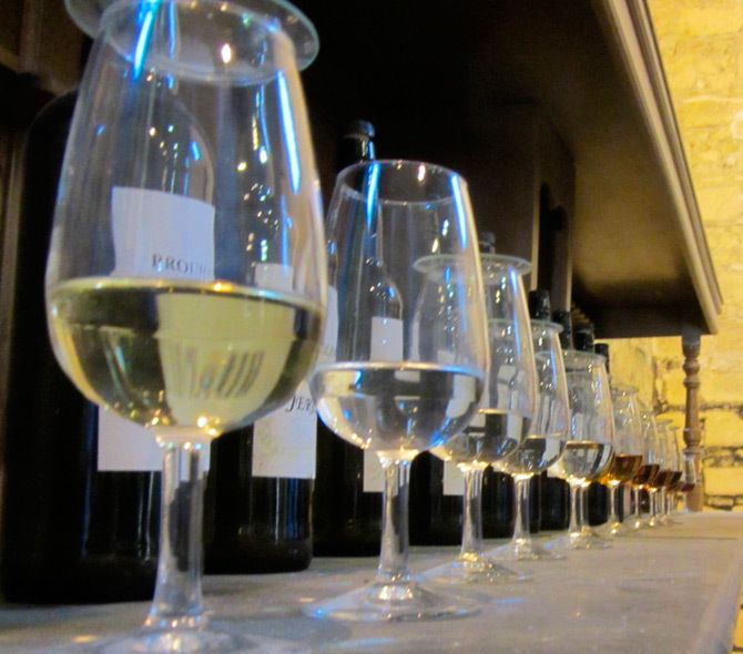 Seville: Jerez, Cadiz Wine Tasting with Optional Horse Show - Starting in Seville: pickup details matter