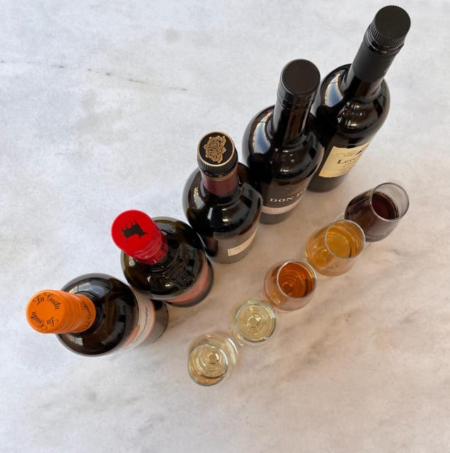Seville: Sherry Wine Tasting with Light Snacks - Key points to know before booking