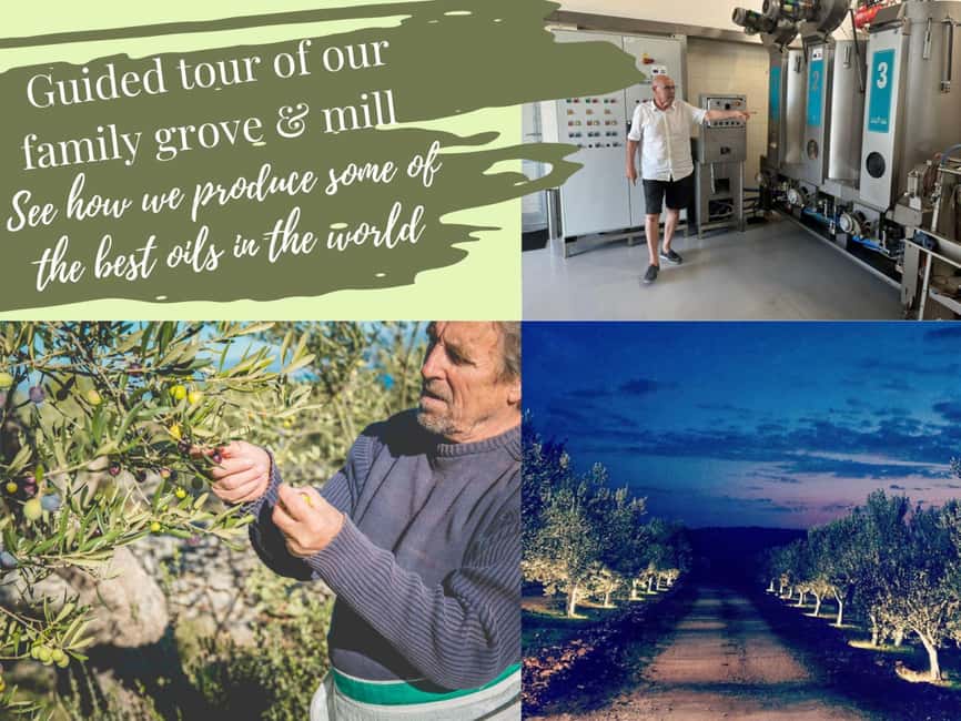 Šibenik: Croatia in a Day, Vistas, History, Olive Oil, Wine - How to Taste Five Olive Oils