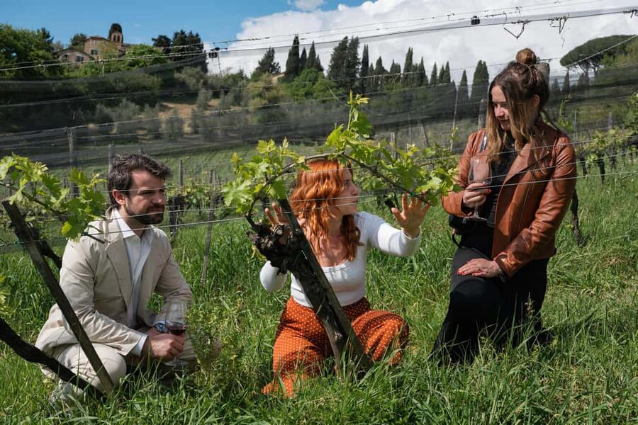 Siena: Educational Wine Tour & Tasting - Reaching La Lastra from Siena