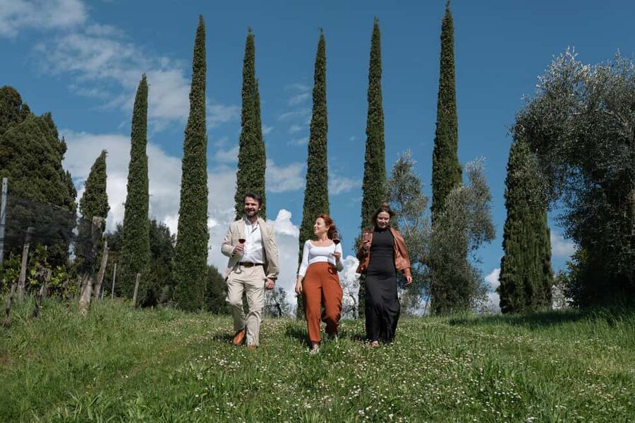 Siena: Educational Wine Tour & Tasting - Four wines in the sensory tasting room