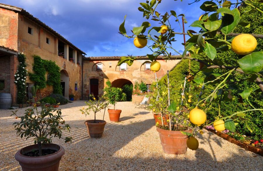 Siena: Educational Wine Tour & Tasting - How much value do you get for $100?