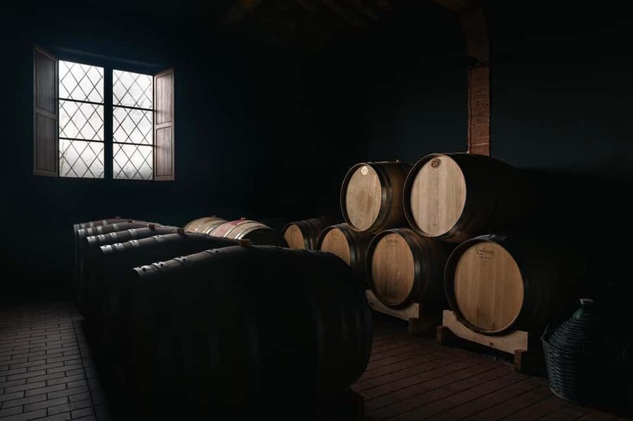 Siena: Educational Wine Tour & Tasting - Who should book this experience?
