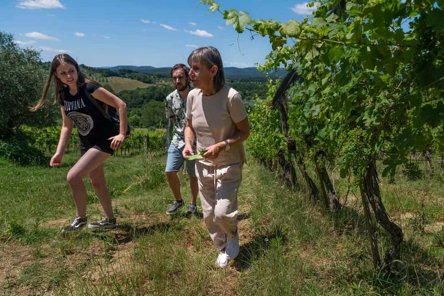 Siena: Organic Winery Tour and Wine Tasting - Reaching La Lastra from central Siena