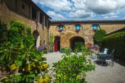 Organic Winery Tour and Wine Tasting