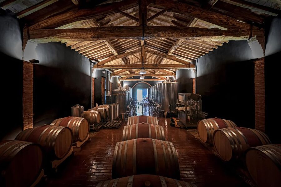 Siena: Organic Winery Tour and Wine Tasting - Is $88 a fair price?