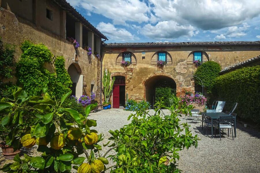 Siena: Organic Winery Tour and Wine Tasting - Starting among the vines and olive trees
