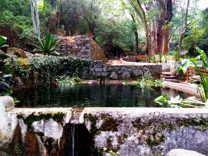 Silves, Caldas and Monchique Wine Tasting: Full Day Tour - Fóia at 902 meters