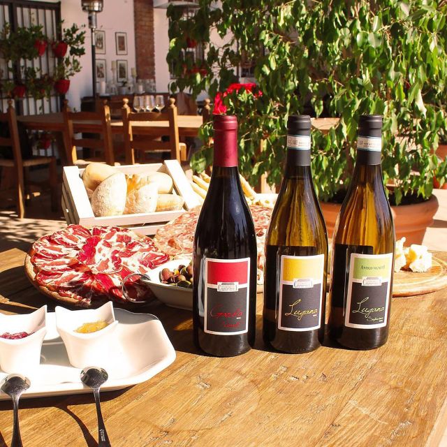 Sirmione: Vineyard Tour with Lugana Wines and Local Tastings - Is $40 a good value?