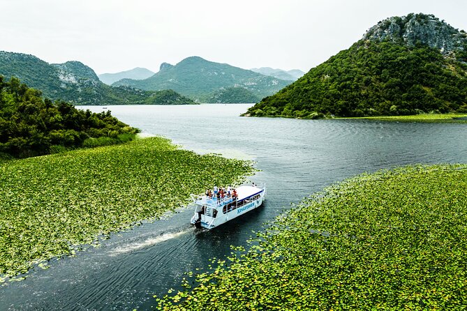 Skadar Lake & Crnojevića River: Swimming, Snacks & Wine - The first hour: open water, lilies, and birds
