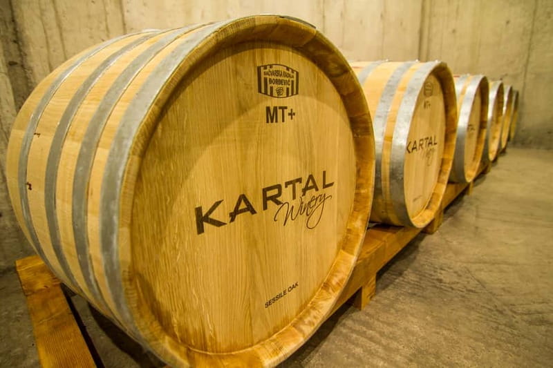 Skopje: Kartal Winery Tour - Arriving 5 Kilometers Southeast of the Center