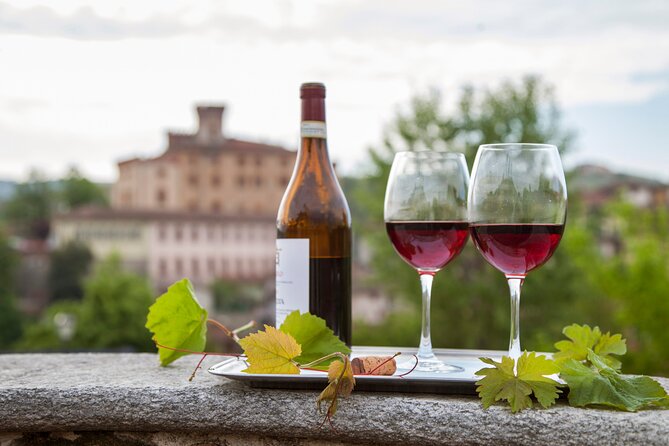 Small-Group Barolo Wine Tasting, Alba & UNESCO Piedmont Hills - The family-run winery and the Barolo lesson