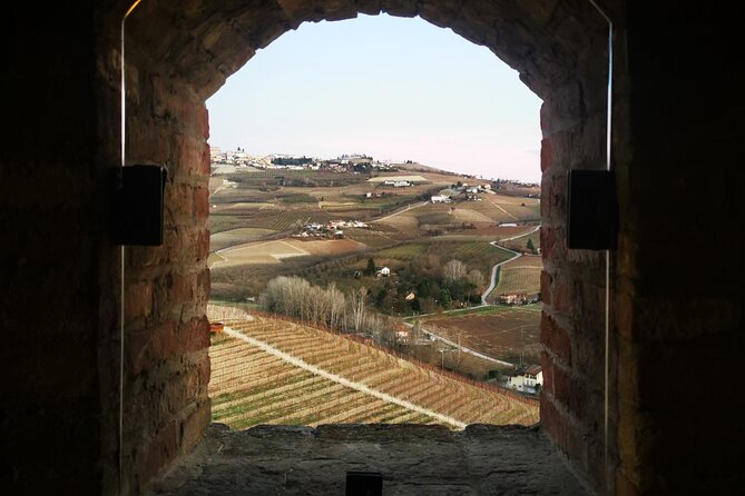Small-Group Barolo Wine Tasting, Alba & UNESCO Piedmont Hills - Is $216.46 a fair price?