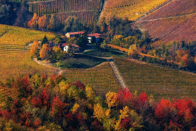 Small-Group Barolo Wine Tasting, Alba & UNESCO Piedmont Hills - The guides shape the experience