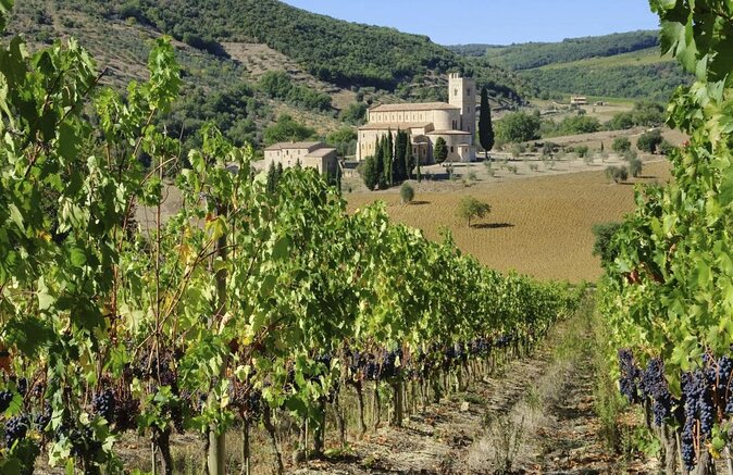 Small-Group Brunello di Montalcino Wine-Tasting Trip from Siena - Key points to know before you go