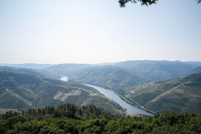 Small Group Douro Valley Wine Tour with Lunch and Cruise - A three-course Portuguese lunch with Douro wine