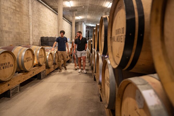 Small Group Douro Valley Wine Tour with Lunch and Cruise - The long drive back to Porto