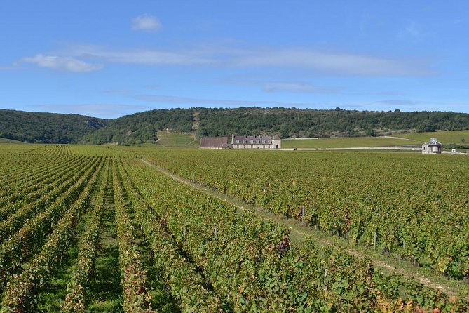 Small-Group Full-Day Tour of Côte de Nuits, Côte de Beaune Vineyards and Beaune Historical District - Why this Burgundy day trip works from Dijon