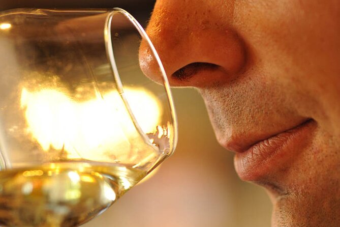 Small-Group Full-Day Tour of Côte de Nuits, Côte de Beaune Vineyards and Beaune Historical District - Beaune gives you two hours to set your own pace