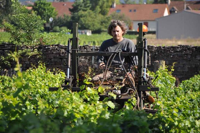 Small-Group Full-Day Tour of Côte de Nuits, Côte de Beaune Vineyards and Beaune Historical District - What the wine tastings teach you