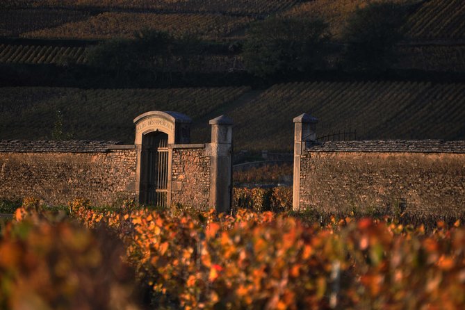 Small-Group Full-Day Tour of Côte de Nuits, Côte de Beaune Vineyards and Beaune Historical District - Is the $161 price fair?