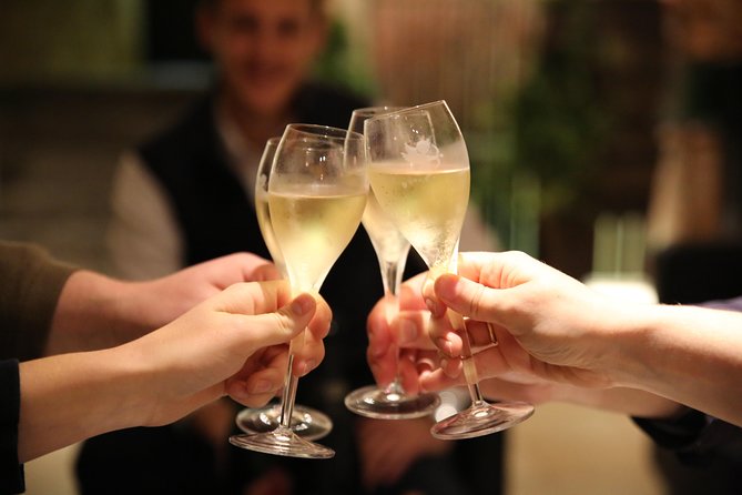 Small Group - Half Day Champagne Tour - Visit of 2 Small Producers/Growers - Meeting at Reims station and heading into the vineyards