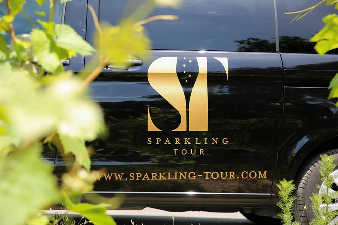 Small Group - Half Day Champagne Tour - Visit of 2 Small Producers/Growers - The afternoon visit to Hautvillers