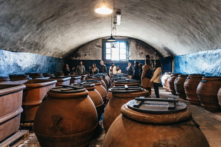 SMALL GROUP Tuscany Wine Tasting Safaris with Lunch / Dinner - Key points to know before booking