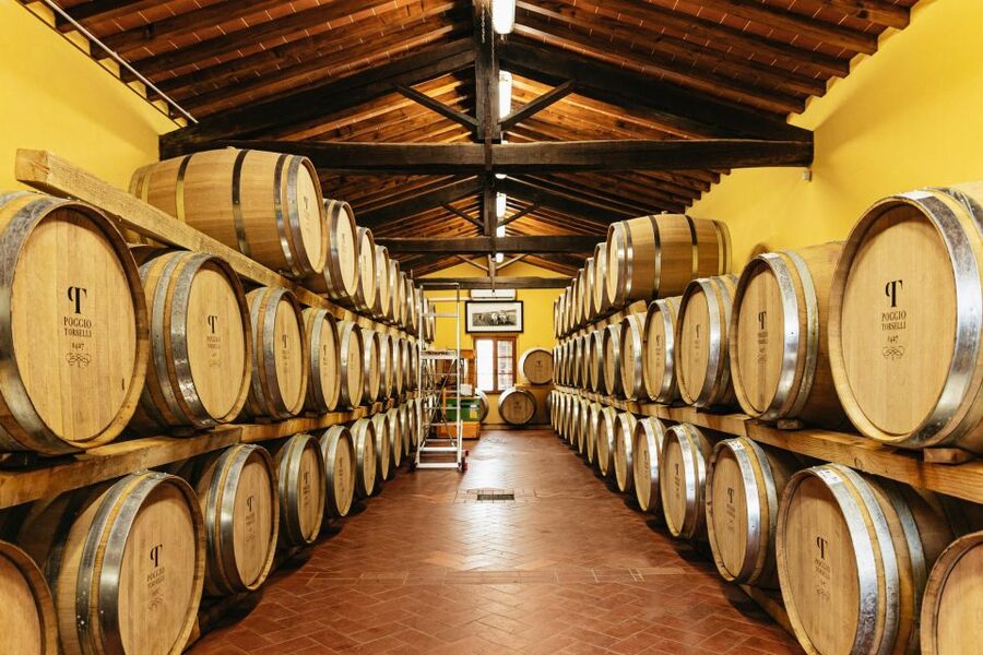 SMALL GROUP Tuscany Wine Tasting Safaris with Lunch / Dinner - The wine tasting is also a food lesson