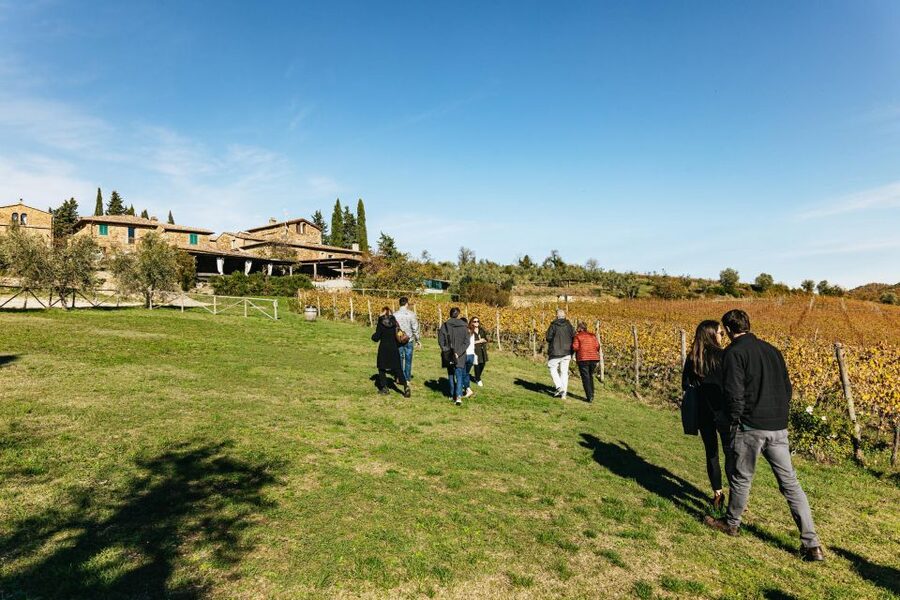 SMALL GROUP Tuscany Wine Tasting Safaris with Lunch / Dinner - Group size, comfort, and the 4WD ride