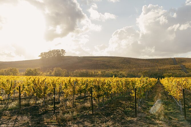 Small Group: Ultimate Napa & Sonoma Wine Tour from San Francisco - The first winery: Napa wine and the making of a bottle