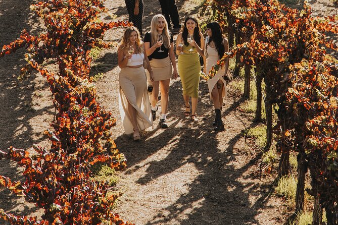 Small Group: Ultimate Napa & Sonoma Wine Tour from San Francisco - The Sonoma winery and the second side of wine country