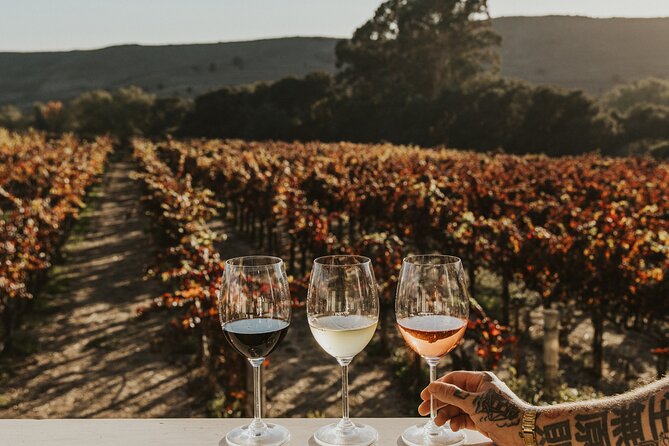 Small Group: Ultimate Napa & Sonoma Wine Tour from San Francisco - Guides make or break a long day