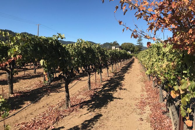 Small-Group Wine Country Tour from San Francisco with Tastings - Who should book this tour?