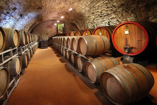 Small-Group Wine Tasting Experience in the Tuscan Countryside - Meeting near Santa Maria Novella station