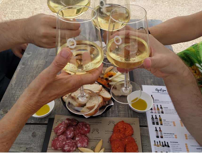 Small-Group Wine Tour from Valencia with Tastings Max 7 - Key points to know before booking