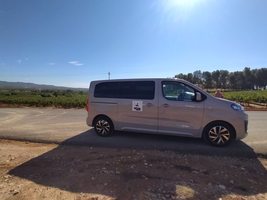 Small-Group Wine Tour from Valencia with Tastings Max 7 - Inside Murviedro’s 10th-century wine caves