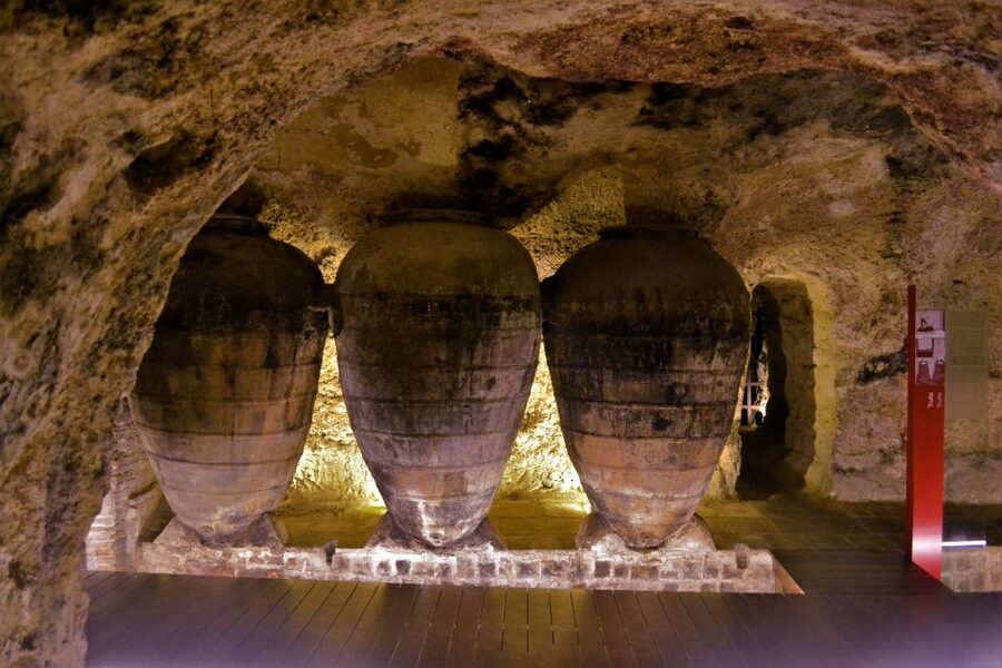 Small-Group Wine Tour from Valencia with Tastings Max 7 - Who will enjoy this tour most?