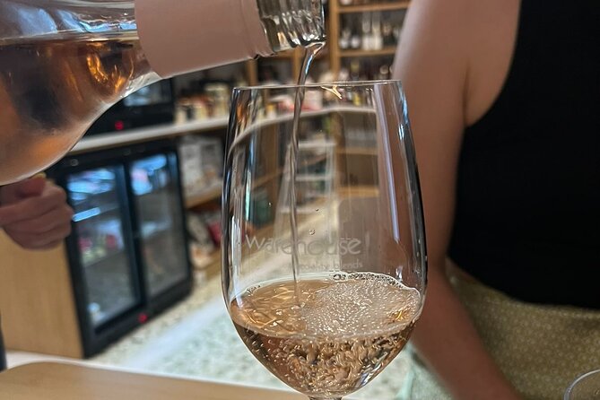 Small-Group Wine Tour in Athens with Tasting - Who will enjoy this Plaka wine walk?