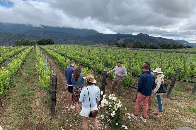 Small-Group Wine Tour to Private Locations in Santa Barbara - Should you book this Santa Barbara wine tour?