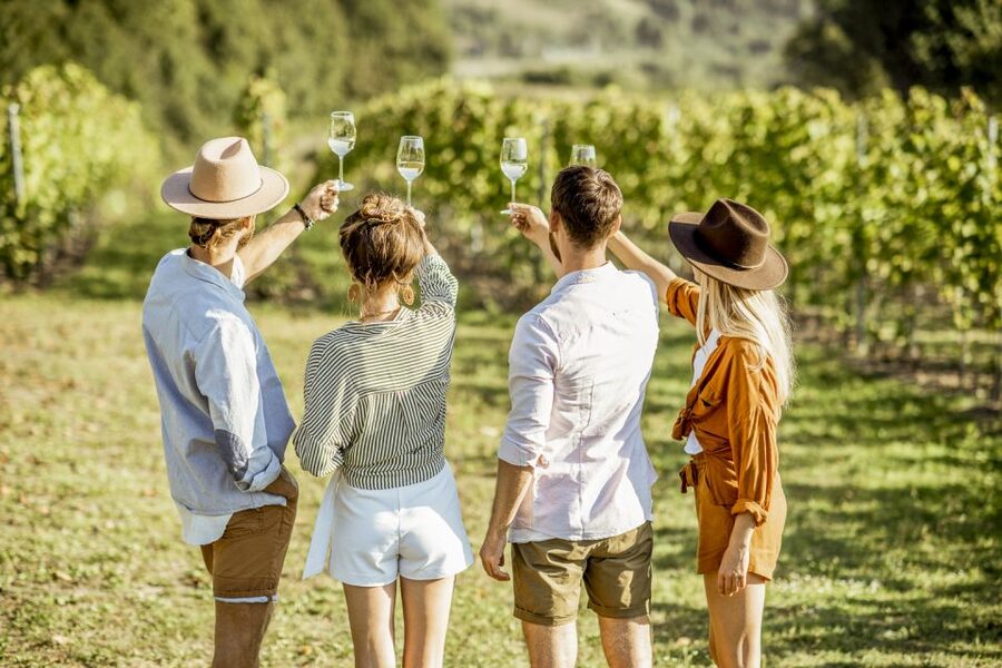 Sonoma Valley: Guided Winery Tour with Picnic Lunch - A picnic lunch in the middle of wine country
