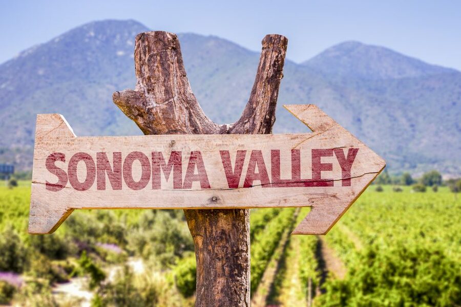 Sonoma Valley: Guided Winery Tour with Picnic Lunch - Who will enjoy this small-group format