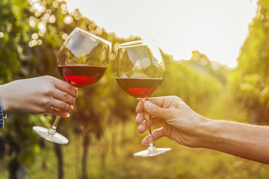 Sonoma Valley: Guided Winery Tour with Picnic Lunch - The practical rhythm of the seven-hour day