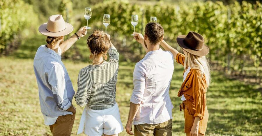 Sonoma Valley: Guided Winery Tour with Picnic Lunch - What the guide adds to the drive