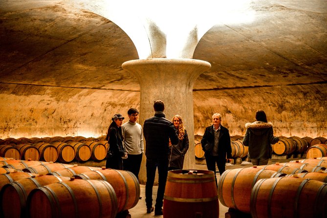 St-Emilion & Médoc Wine Day Tour: Chateaus, Tastings and Lunch - Château Bernateau and the picnic lunch