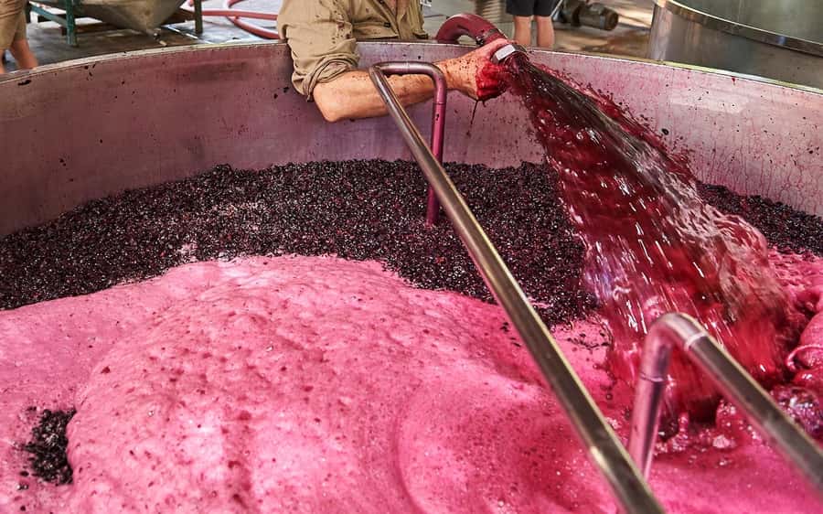 Stellenbosch: All-inclusive Private Wine Tour & Tastings - Cellar access depends on the day