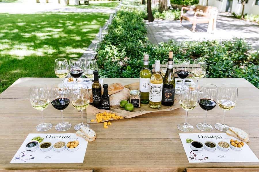 Stellenbosch: All-inclusive Private Wine Tour & Tastings - Vineyard walks that explain what is in your glass